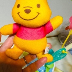 ★超美品★プーメリーの画像