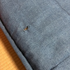 ソファベッド　シングルの画像