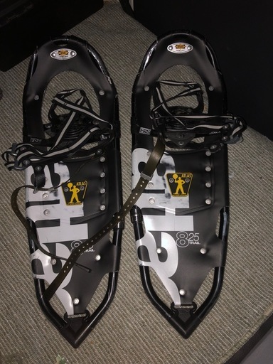 ELAN VECTOR-R 155cm エラン スノーボード 24-25モデル. ELAN