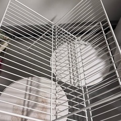 【まとめて譲ります】調理器具セットの画像