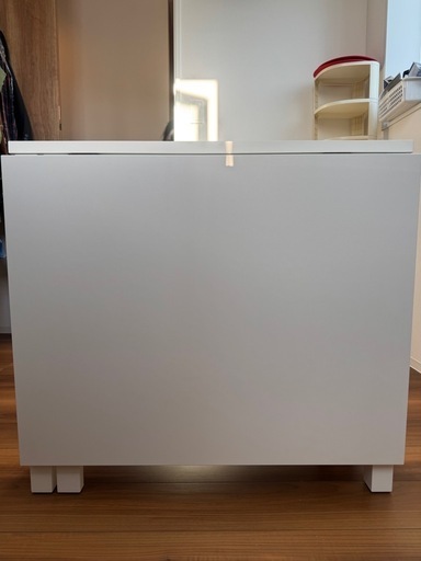 引き取り限定/IKEAテーブル (カンノスケ) 洗足池のテーブル