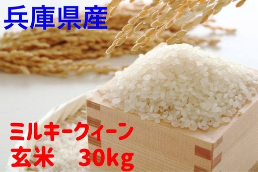 ミルキークィーン　兵庫県産　玄米　30kg