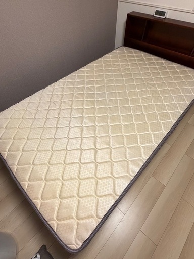 りくっちさん　専用　セミダブル　中古 セミダブルベッドフレーム(アザン3 浅型/LBR) | ニトリネット【公式