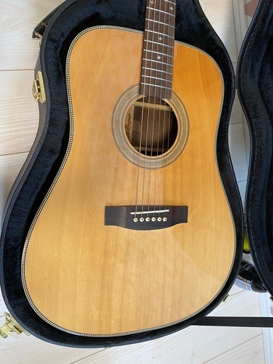 Aria Dreadnought EST.1956 AD-515 ハードケース付 ARIA DREADNOUGHT