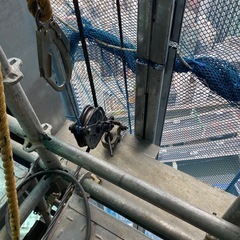 基本仮設足場　鉄骨建て方　本締め　工事有りの画像