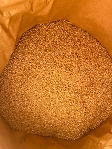 ①安曇野産　コシヒカリ　30kg 玄米