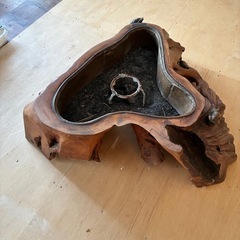 切り株　くり抜き　火鉢の画像