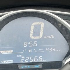 ホンダ　ＰＣＸ１２５  ＪＦ８１自賠責【R9年6月26日迄】の画像