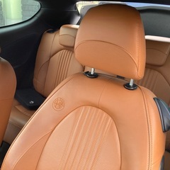 アルファロメオミトクワドリフォリオヴェルデQVマニュアルの画像