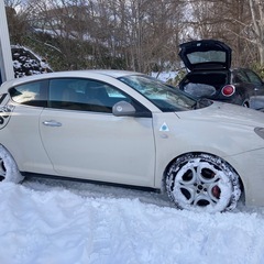 アルファロメオミトクワドリフォリオヴェルデQVマニュアルの画像