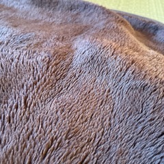 敷きパッド　イオンの画像