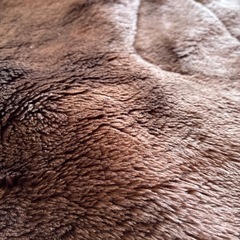 敷きパッド　イオンの画像