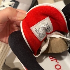 新品未使用　26.5cm 日本限定品エアジョーダン3レトロSE-T CO JPの画像