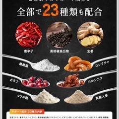 【新品】カロバーンEX サプリ 30日分 機能性表示食品 ダイエット エラグ酸 BMIの画像