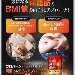 【新品】カロバーンEX サプリ 30日分 機能性表示食品 ダイエット エラグ酸 BMIの画像