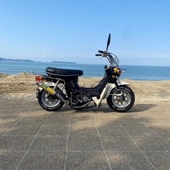 ホンダシャリーの画像