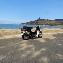 ホンダシャリーの画像