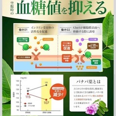 【新品】カロバーンα 30粒 30日分 機能性表示食品 血糖値 血圧ケア サプリの画像