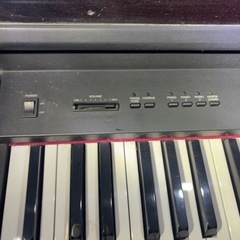 エレピの画像