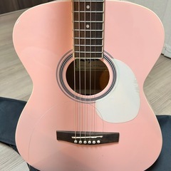 ARIA legend FGレア色 アコースティックギター アコギの画像
