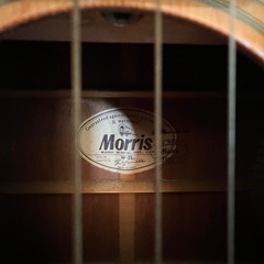 ホークギター　モーリスw-25　ギター　の画像