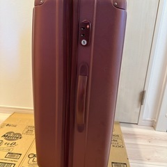 キャリーバッグ、スーツケースの画像