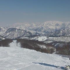 2月にスノボ、スキー行ける方