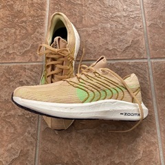 未使用品NIKE ペガサスTURBO NEXT NATUREの画像