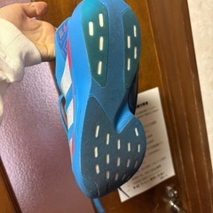 26.5cmアディゼロ EVO SL WOVENの画像