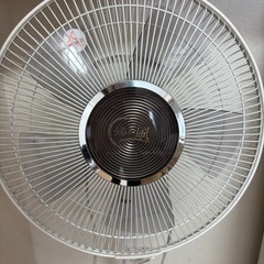 キャンセル待ち！扇風機の画像