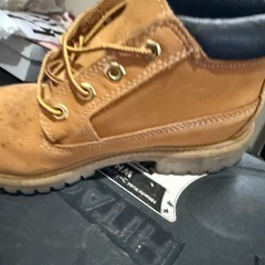 ティンバーランドの画像