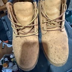 ティンバーランドの画像