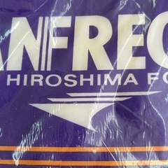 （オンライン決済から変更）サンフレッチェ座布団の画像