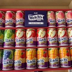 Welch's フルーツジュース22本セット