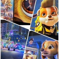 DVD 
パウパトロール　ザ・ムービーの画像