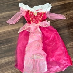 なりきりドレスの画像