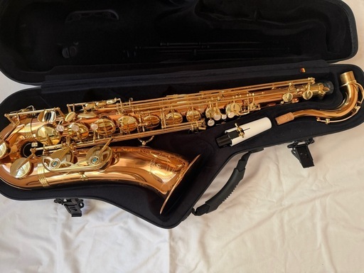 yanagisawa テナーサックス T-WO2 E-SAX その他諸々まとめ売り