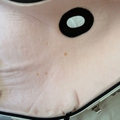 yanagisawa テナーサックス T-WO2 E-SAX その他諸々まとめ売りの画像