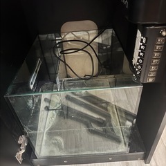 レッドシーMAX水槽の画像