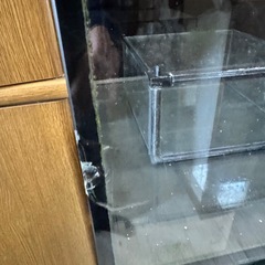 レッドシーMAX水槽の画像