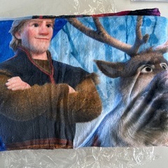 アナ雪毛布の画像