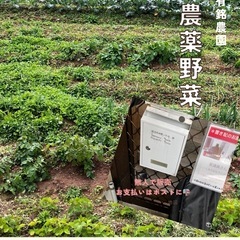 無農薬の健康野菜の無人販売