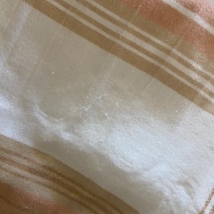 日本製電気毛布
の画像