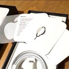 Apple iPhone 13 Pro シルバー 本体セットの画像