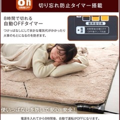 ホットカーペット新品未使用の画像