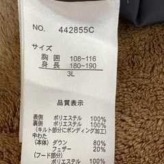 青いフード付きダウンジャケットの画像