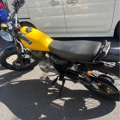 鹿児島市　グラストラッカー　ビックボーイの画像