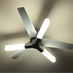 【商談中】シーリングファンライトの画像