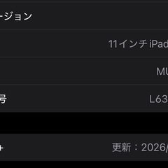 iPad Air iPad Air第6世代 M2 128GB /Apple Pencil Proの画像
