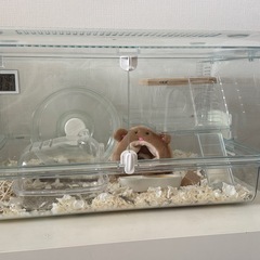 ハムスター飼育セット一式（使用1週間）グラスハーモニー450 の画像